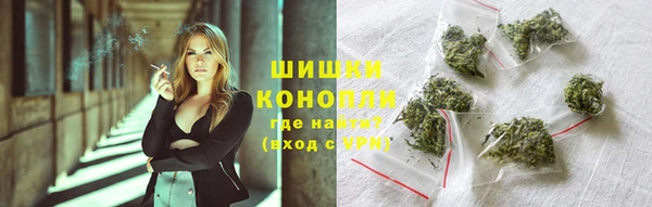 гашик Алексин