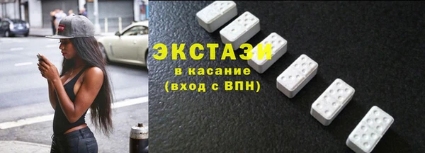 гашик Алексин