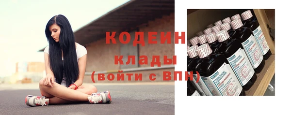 гашик Алексин