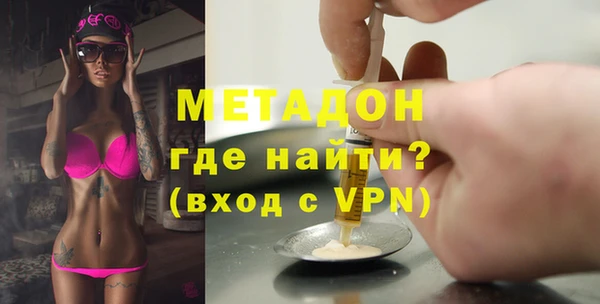 гашик Алексин