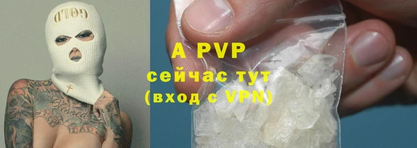 гашик Алексин