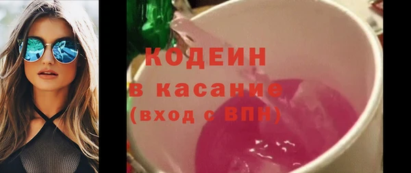 гашик Алексин