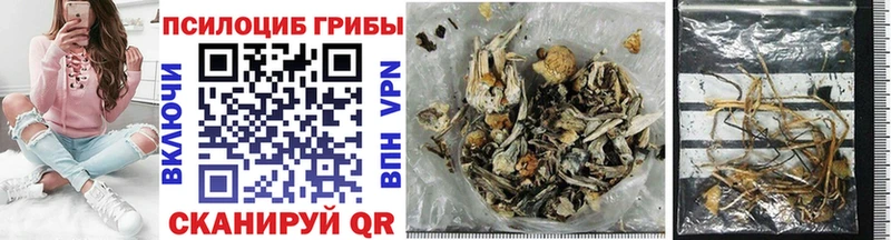 Псилоцибиновые грибы мицелий Анива